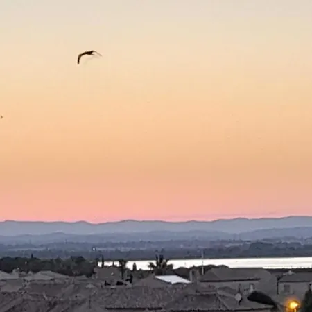 Chez Isabelle Et Virgile Bel Appartement, Avec Vues, à 50m De La Appartement Palavas-les-Flots
